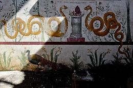 Scavi di Pompei, torna alla luce il "giardino incantato" del larario 