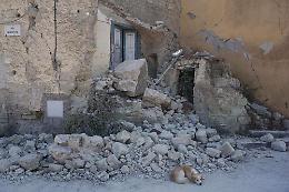 Sisma a Ischia, commissario ricostruzione: 640 edifici inagibili e 694 famiglie sfollate