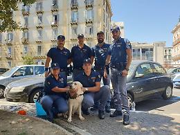 Per oltre un'ora in auto sotto al sole, polizia salva un labrador