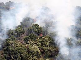 Incendi, Protezione civile: richiesta attivazione meccanismo europeo