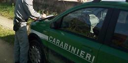 Rogo in azienda di rifiuti, stop a imprenditore per un anno