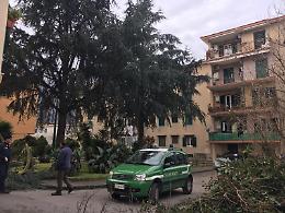 Guardia Forestale sorveglia sul verde cittadino controllando sulla preservazione delle piante sane