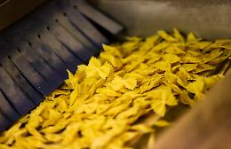 Economia di guerra, a Napoli vola la pasta: +4,4%