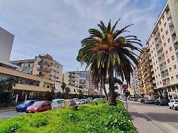 Fuorigrotta, via alla riqualificazione di Viale Augusto