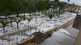 Apocalisse bianca nel Sannio, migliaia di agricoltori in ginocchio