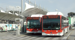 Boom turisti a Napoli, Comune aumenta corse bus per aeroporto