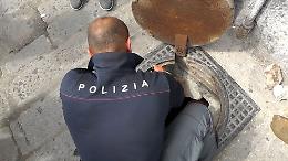 Banda del buco: rapina choc in banca, bottino da 100mila euro