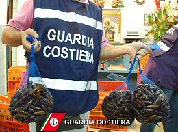 Controlli sulla filiera della pesca, sequestrati oltre mille chili di prodotti: multe per 60mila euro