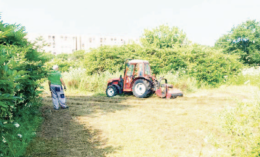 «Parco Troisi, servono altri interventi»