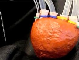 Rosso e di "schiuma": ecco il cuore artificiale del futuro