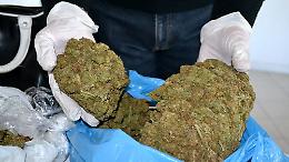 Sequestrati 40 chili di cannabis e 4 di marijuana, un arresto