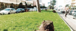 Verde in città, tutto da rifare