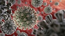 Tracciata la prima mappa genetica del virus, in Italia già a gennaio