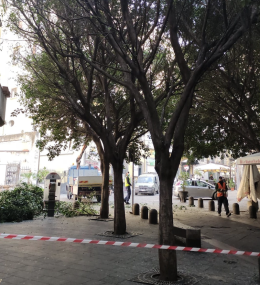 Napoli, al via le potature in via Chiaia