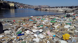 Riva fiorita, spiaggia invasa dai rifiuti: volontari in azione