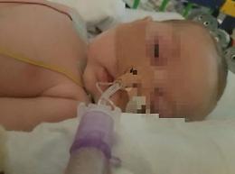Charlie, Londra dice no al Bambino Gesù
