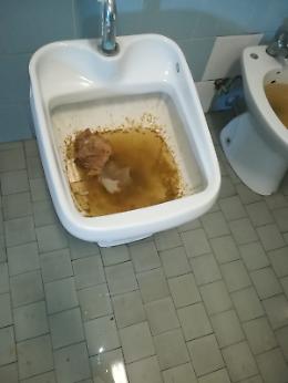 Raid vandalico al San Giovanni Bosco: bagni otturati e reparto allagato