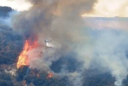 Astroni in fiamme per i fuochi pirotecnici partiti dal ristorante