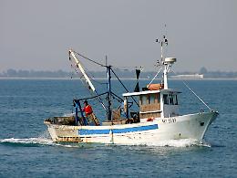 Campania, stop pesca per un mese