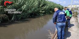 Scarichi illegali nel fiume, sequestrate due aziende