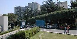 Grilli in ospedale, trasferita la Terapia intensiva