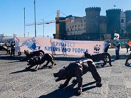 Cop21, flash mob del Wwf per Mediterraneo sostenibile