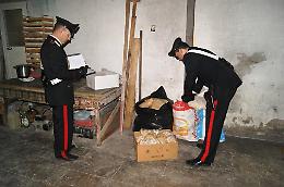 Sant'Antimo, forno abusivo nel sottoscala