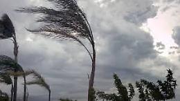 Forte vento in Campania, disagi e alberi caduti