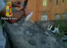 Droga “pescata" con la canna, smantellata holding dello spaccio VIDEO