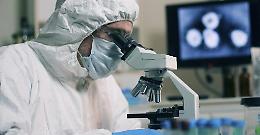 Coronavirus, scoperta nuova porta d’ingresso nell’organismo 