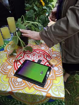 Natura hi-tech, piante come strumenti musicali grazie a un’app