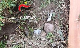 Parco Verde, carabinieri smantellano aia abusiva e trovano cocaina