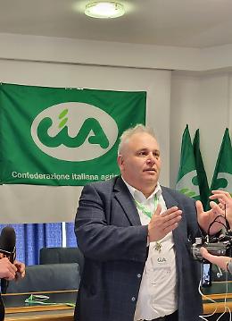 Camera di Commercio Irpinia Sannio, Cia Campania, Cia Avellino e Cia Benevento chiedono la fine del commissariamento e il ripristino della governance