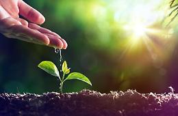 Giornata mondiale dell'ambiente 2021: è dedicata al ripristino degli ecosistemi