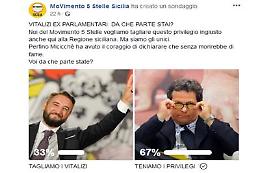 M5S, nuovo sondaggio: rivince la casta