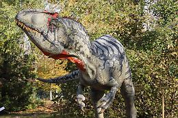 “Dinosauri in carne e ossa", ritorna in tempi record la mostra agli Astroni