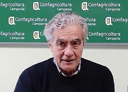 Confagricoltura Campania: politica agricola comune inadeguata