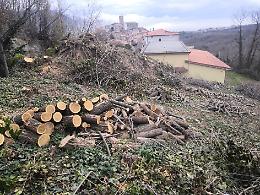 Sequestrato un bosco a Roccamonfina