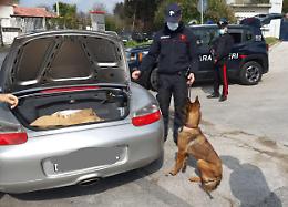 Licola presidiata dai carabinieri, il bilancio dei controlli