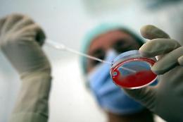 Coronavirus, stop alla fecondazione assistita: ben 4500 in meno