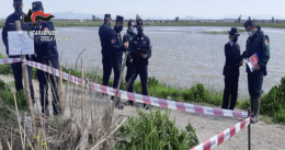 Strage di 70 uccelli in una notte con video online