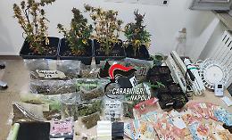 In negozio cannabis light, a casa un chilo e mezzo di marijuana: arrestato
