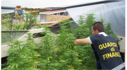 Sulla barca una serra per coltivare marijuana