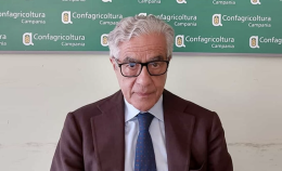 Confagricoltura Campania: rischio di aumento del costo del grano duro