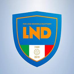 Serie D: ecco gli accoppiamenti di Coppa Italia