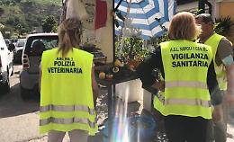Sicurezza alimenti,controlli Asl Na1 e multe per 10mila euro