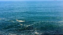 Mare, divieti temporanei di balneazione in 15 zone