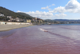 Mare di Baia rosso per le alghe del lago d'Averno, verifiche Arpac