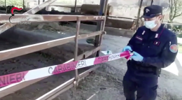 Liquami nel mare di Cuma, sigilli ad azienda zootecnica