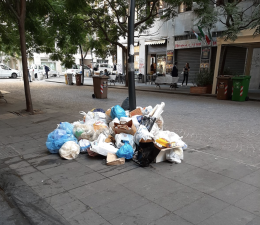 Rifiuti a Napoli, Gaudini: situazione igienica preoccupante